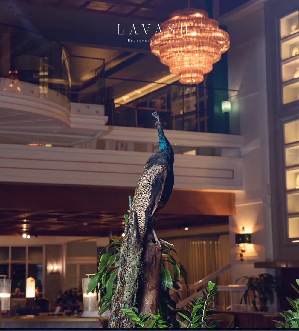 LAVASH gallery item 1